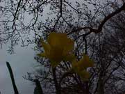 Eine etwas andere Sichtweise